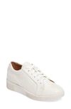 Gentle Souls Haddie Low Platform Sneaker In White Leather
