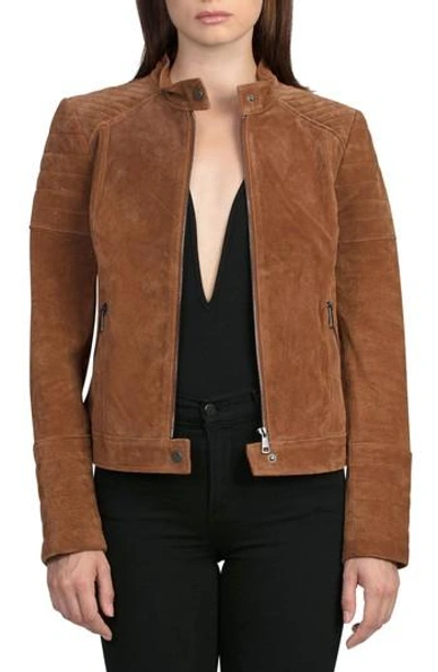 Bagatelle Suede Moto Jacket In Brandy