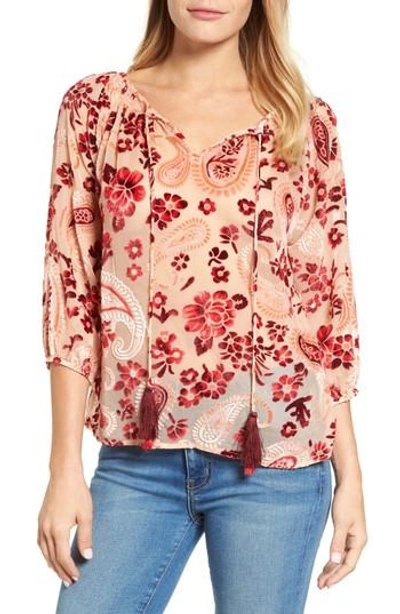 Kas New York Carlene Velvet Burnout Top In Multi