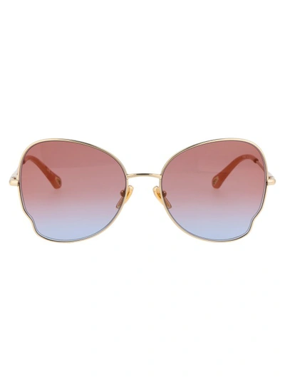 Chloé Ch0094s Sunglasses In Pink