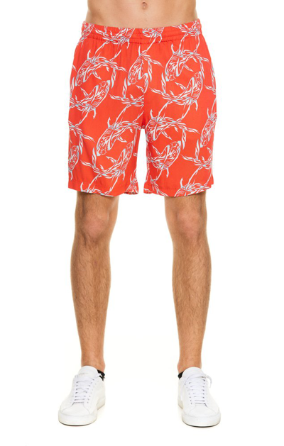 Msgm Jogging Shorts With All Over Shark Print In Coral