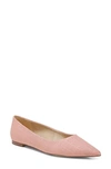 Sam Edelman Women's Wanda Pointed Toe Flats Women's Shoes In Canyon Clay Suede