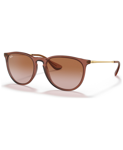 Ray Ban Erika Classic Sunglasses Brown Frame Brown Lenses 54-18