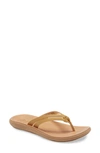 Olukai Kapehe Luana Flip Flop In Golden Harvest/ Golden Sand