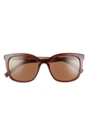 Le Specs Veracious 52mm Square Sunglasses In Chocolate Mono Polarized
