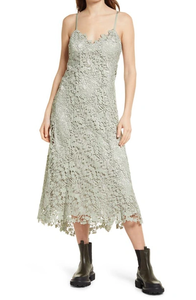 Allsaints Lali Lace Sleeveless Midi Dress In Sage Green | ModeSens