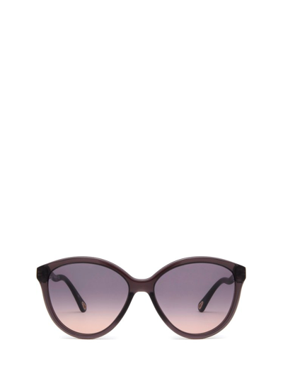 Chloé Chlo Ch0087s Grey Female Sunglasses - Atterley