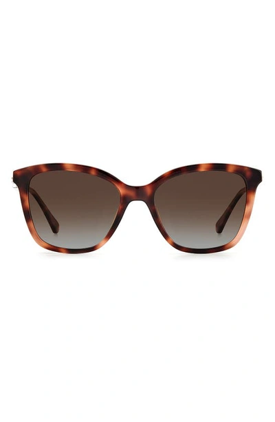 Kate Spade Reenas 53mm Gradient Polarized Cat Eye Sunglasses In Brown