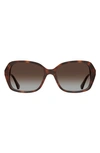 Kate Spade Yvette 54mm Gradient Polarized Square Sunglasses In Havana / Brown Grad