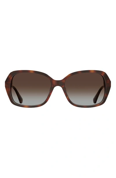 Kate Spade Yvette 54mm Gradient Polarized Square Sunglasses In Havana / Brown Grad