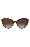 Kate Spade Amberlees 55mm Gradient Eat Eye Sunglasses In Havana/brown