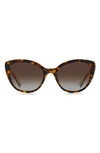 Kate Spade Amberlees 55mm Gradient Eat Eye Sunglasses In Havana/brown Grad