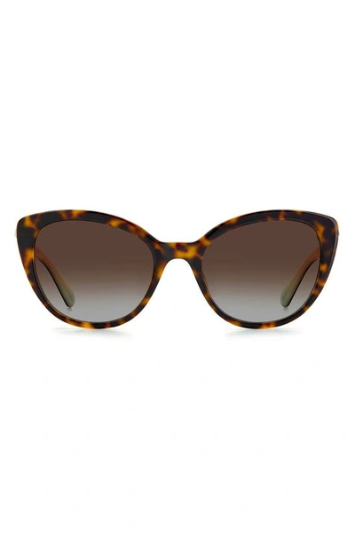 Kate Spade Amberlees 55mm Gradient Eat Eye Sunglasses In Havana/brown