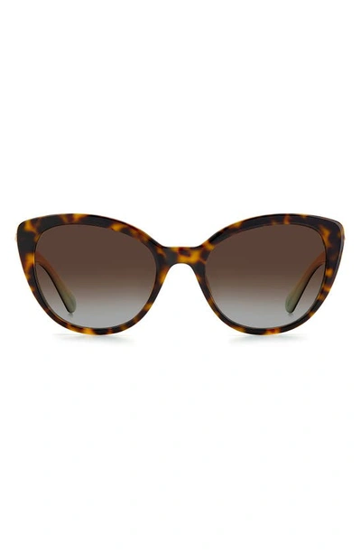 Kate Spade Amberlees 55mm Gradient Eat Eye Sunglasses In Havana/brown Grad