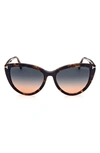 Tom Ford 56mm Gradient Cat Eye Sunglasses In Colhav/ Grng