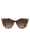 Isabel Marant Gradient Round Sunglasses In Havana / Gray Brown