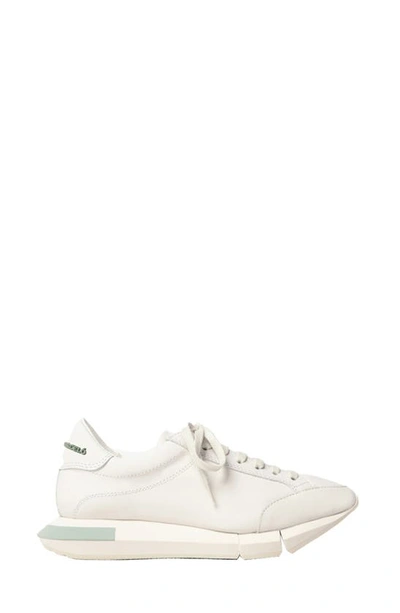 Paloma Barceló Lisieux Sneaker In White/ Gesso-jadite