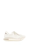 Paloma Barceló Lisieux Sneaker In White/ Gesso-taupe