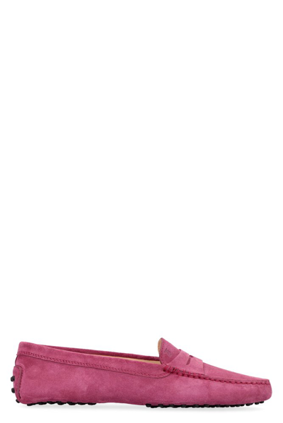 Tod's Gommino Suede Loafers In Fushia