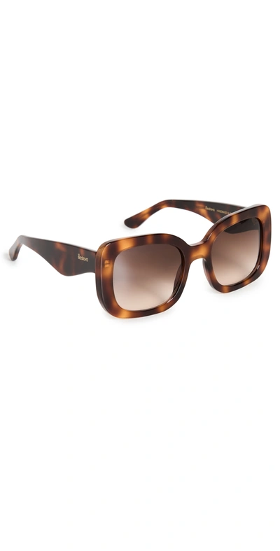 Illesteva Anastasia Havana Sunglasses With Brown Gradient In Havana W/ Brown Gradient
