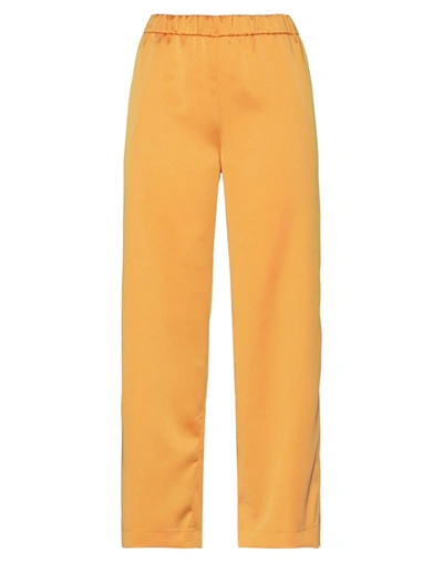Modern Mo. De. Rn Pants In Apricot