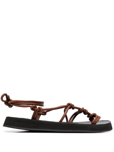 Hereu Lace-up Thong Sandals In Brown