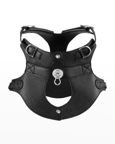 Pagerie The Colombo Dog Harness In Noir