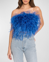 Lamarque Zaina Ostrich Feather Bustier Top In Cobalt