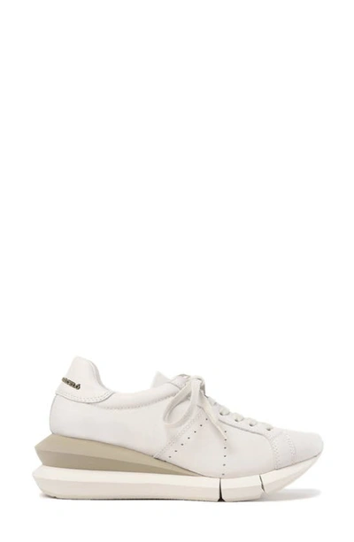 Paloma Barceló Alenzon Wedge Sneaker In White/ Gesso-salvia