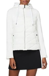 Bernardo Insulated Quilted Hooded Jacket In Nocolor