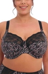 Elomi Morgan Full Figure Underwire Bra In Serengeti