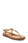 Sam Edelman Gigi Signet T-strap Flat Sandals In Brown