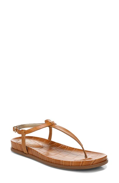 Sam Edelman Gigi Signet T-strap Flat Sandals In Brown