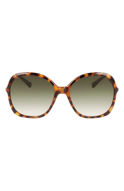 Longchamp 59mm Roseau Modified Rectangle Sunglasses In Tokyo Havana