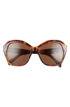 Celine 54mm Cat Eye Sunglasses In Blonde Havana / Brown