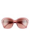 Celine 54mm Cat Eye Sunglasses In Pink/ Bordeaux