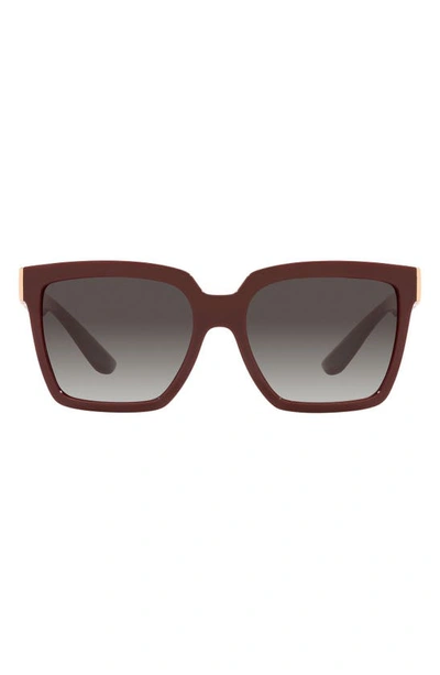 Dolce & Gabbana 56mm Square Sunglasses In Bordeaux