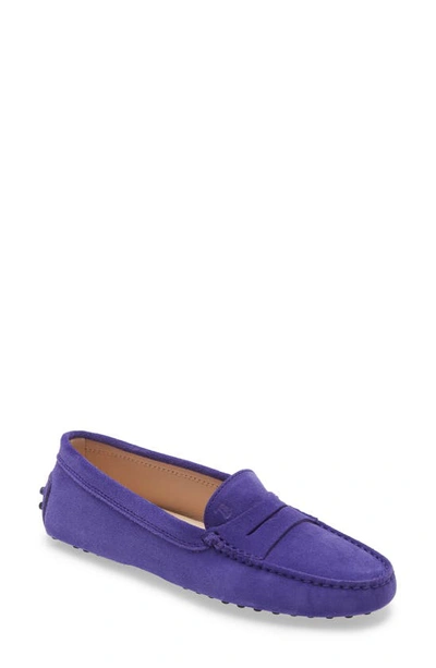 Tod's Penny Driving Moccasin In Ametista Chiaro
