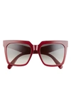Celine 55mm Cat Eye Sunglasses In Brown