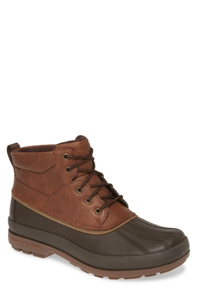 Sperry Cold Bay Snow Boot In Brown/ Coffee