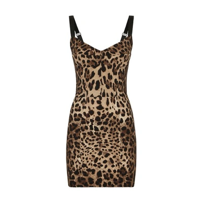 Dolce & Gabbana Corset Dress In Animal Print