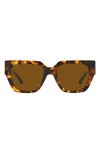 Versace 53mm Square Sunglasses In Havana/ Dark Bronze