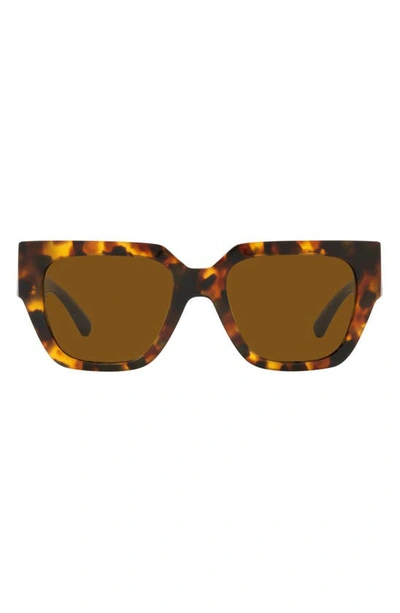 Versace 53mm Square Sunglasses In Havana/ Dark Bronze