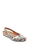 Softwalk Sandy Slingback Flat Sandal In Black/ White Snake