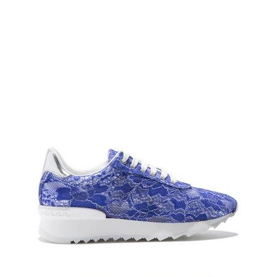 Casadei Sequin Lace Panel Sneakers In Klein