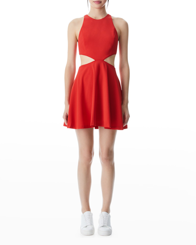 Alice And Olivia Cara Crepe Fit & Flare Round Neckline Cut Out Mini Dress In Red