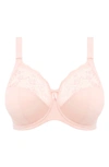 Elomi Women's Full Figure Morgan Underwire Bra El4111, Online Only In Pink
