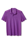 Tommy Bahama Palm Coast Polo In Deep Lavender