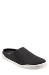 Softwalk Auburn Mule In Black Suede