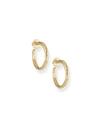 Ippolita Glamazon Yellow Gold Hoop Earrings